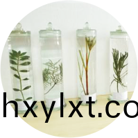 中藥(yao)標本(ben)