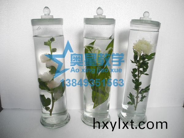 植(zhi)物(wu)學標本廠(chang)傢：處(chu)理植物標本(ben)的(de)註(zhu)意事(shi)項(xiang)