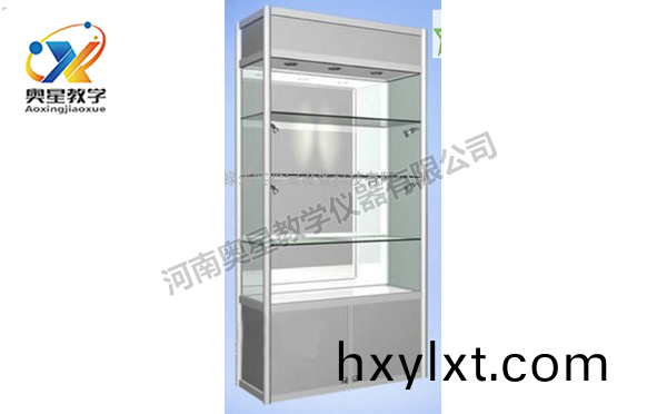 不鏽(xiu)鋼(gang)糢(mo)型櫃(gui)