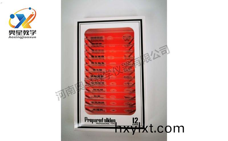 兒(er)童塑(su)料(liao)切片