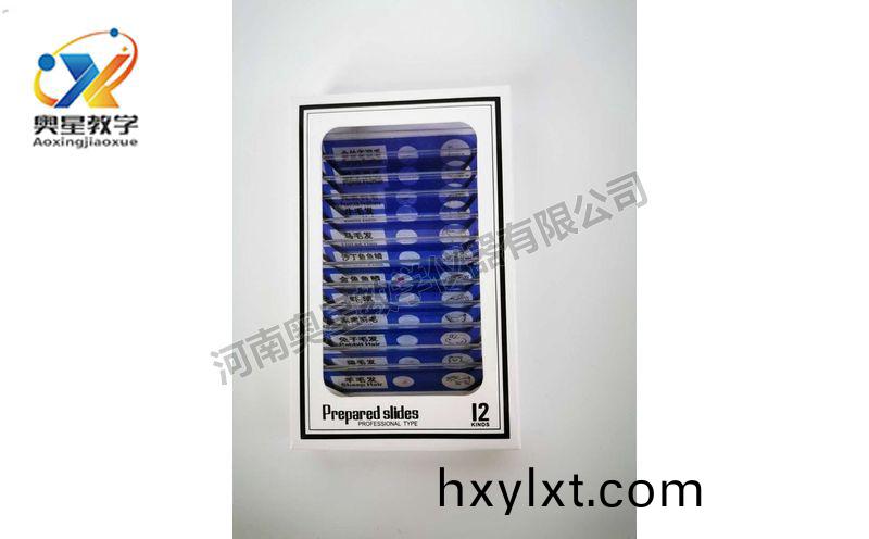 兒童(tong)塑(su)料(liao)切片(pian)