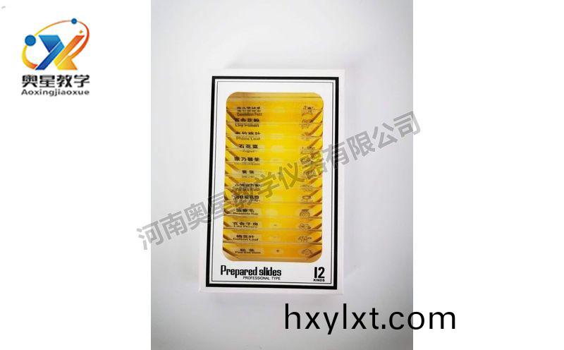 兒童(tong)塑(su)料(liao)切片(pian)