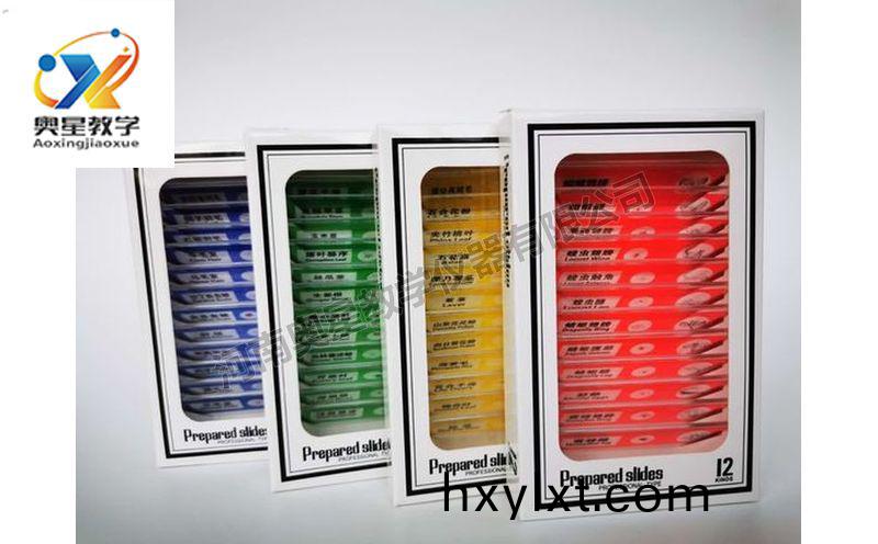 兒童(tong)塑(su)料(liao)切(qie)片(pian)