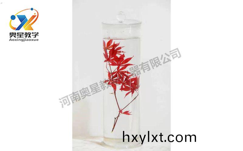 浸(jin)漬(zi)標(biao)本