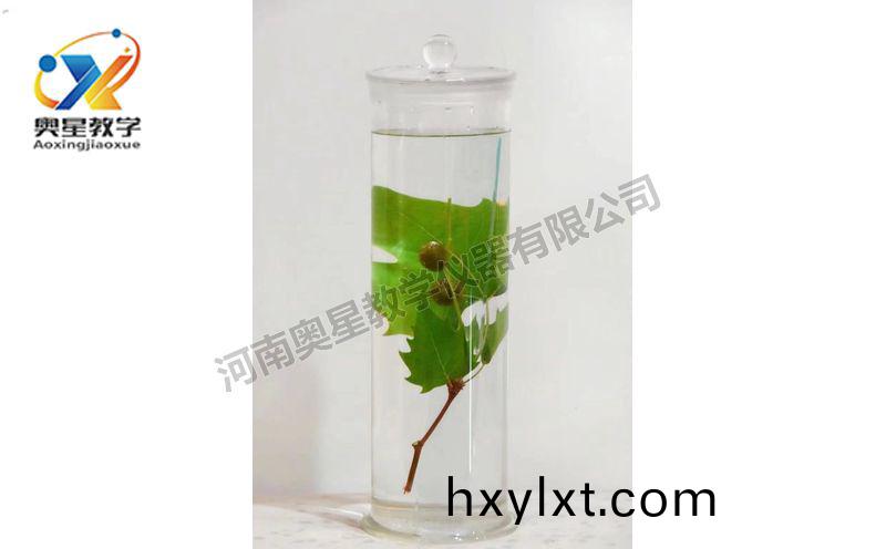 浸(jin)漬(zi)標(biao)本