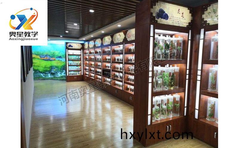 浸漬(zi)標(biao)本