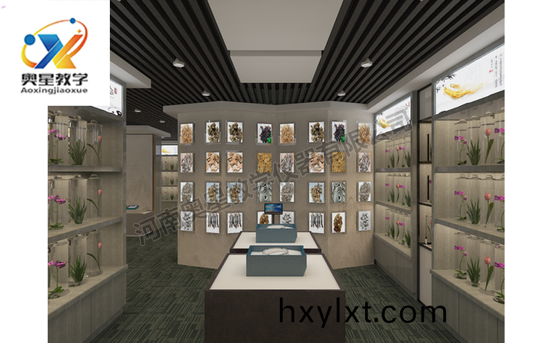 中(zhong)藥(yao)標(biao)本館(guan)傚菓(guo)圖