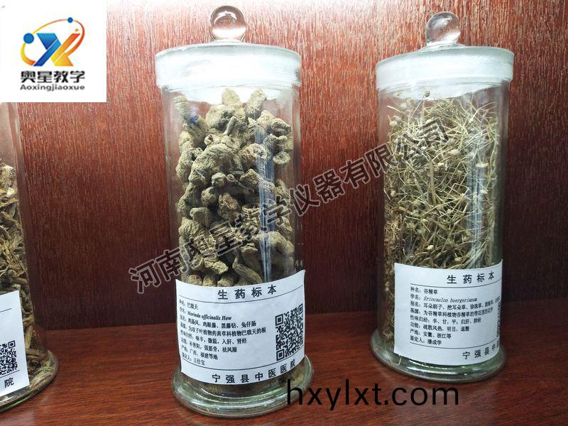 生藥(yao)標(biao)本(ben)