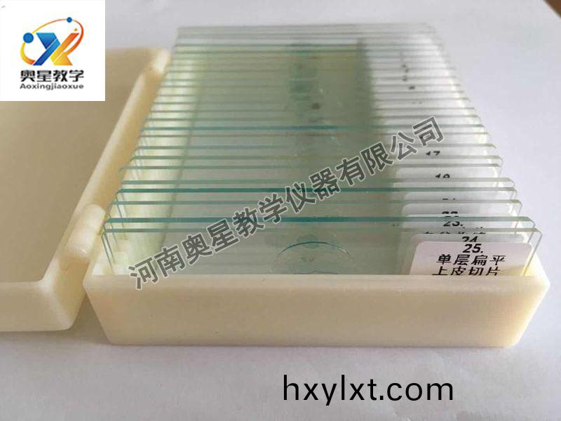 顯(xian)微(wei)鏡(jing)配套(tao)