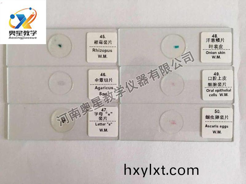 顯(xian)微鏡(jing)配套(tao)