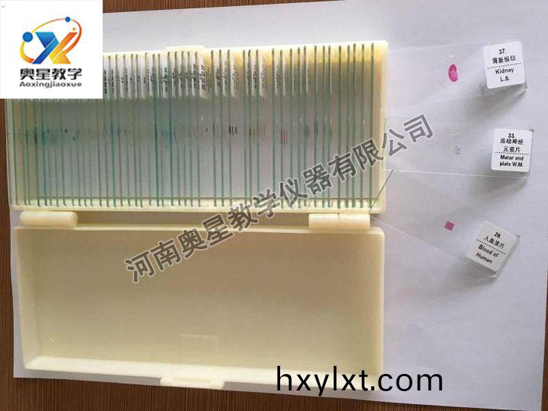 顯微(wei)鏡(jing)配套