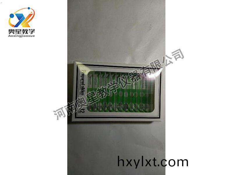 顯(xian)微鏡(jing)配套