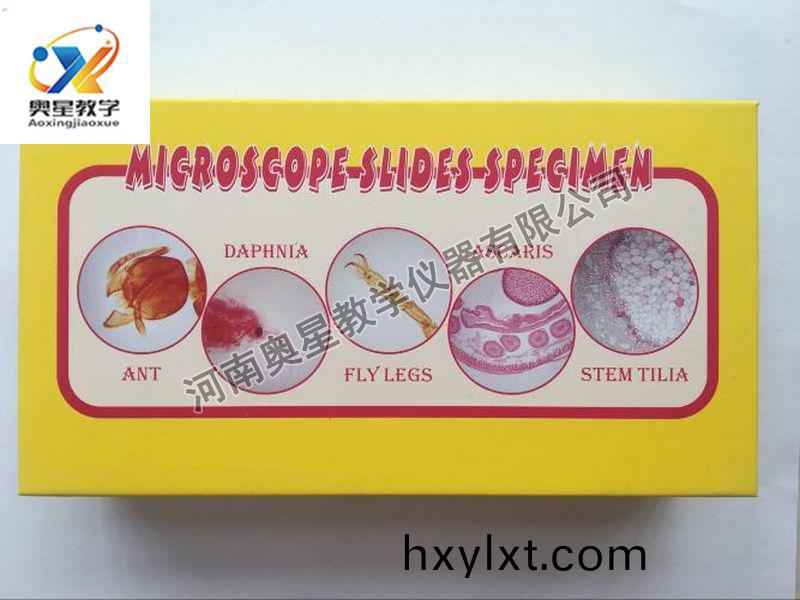 顯微(wei)鏡(jing)配套
