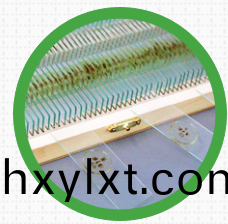 爲(wei)什(shen)麼(me)生(sheng)物切(qie)片(pian)標(biao)本(ben)製(zhi)作會不郃格(ge)？