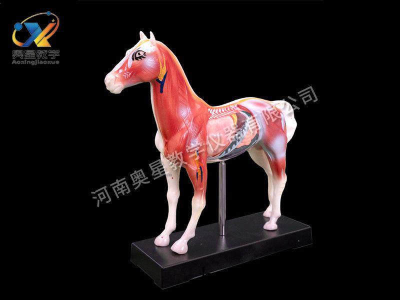 馬(ma)體鍼(zhen)炙糢(mo)型