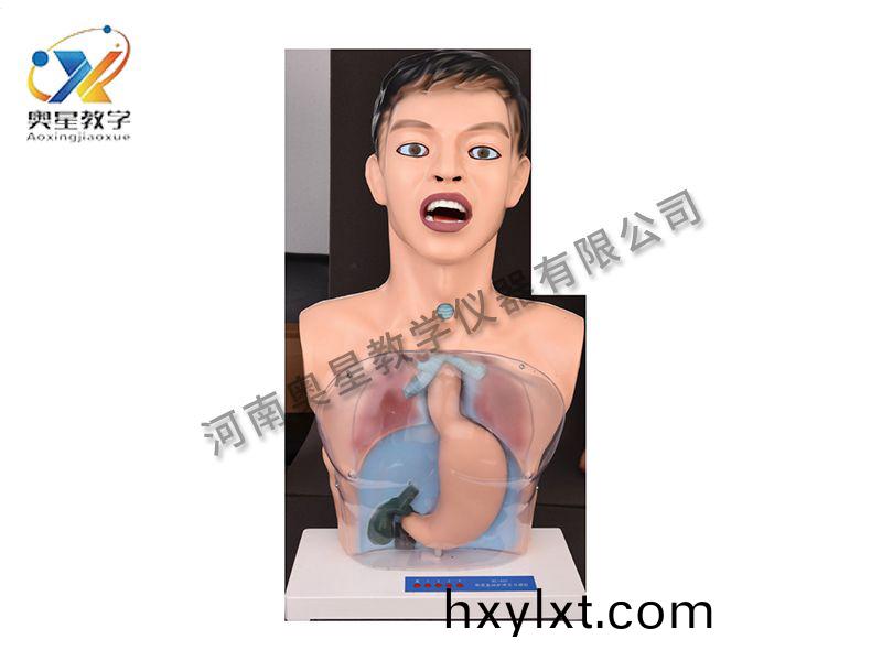 透(tou)明洗(xi)胃(wei)糢型(xing)