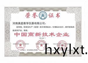 中(zhong)國高(gao)新區技術(shu)企(qi)業